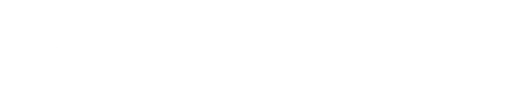 Matsuri
