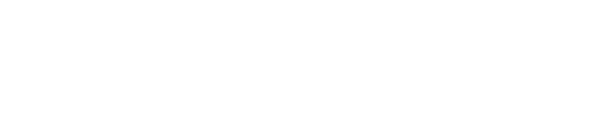 Sailson